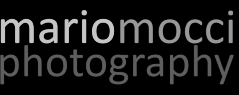 mariomocci.it logo
